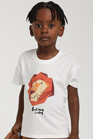 Erkek Çocuk Tişört 1-4 Yaş 1782