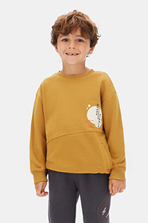 Erkek Çocuk Swaetşirt 4-8 Yaş 49509