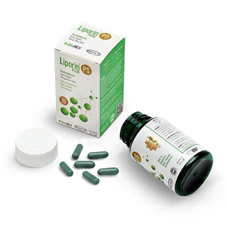 Algy Omega 3 (Yüksek DHA) & Liporin PS Plus