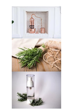 Okti̇R  Biberiye Suyu Hidrosolü (Hydrosol-Dökülme Karşiti-Saç Bakimi-Hizli Saç Uzatma)