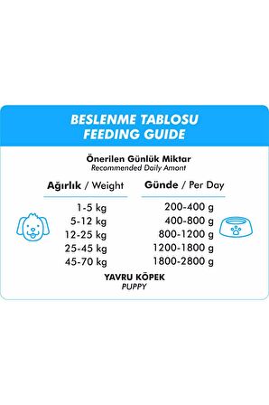 Foodline Kuzu Etli Yavru Köpek Konservesi 400 Gr x 12 Adet