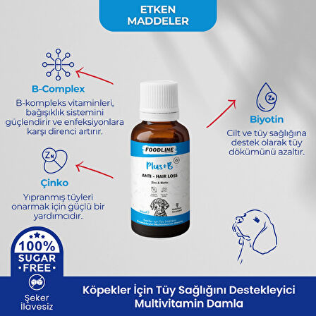 Foodline Köpekler için Plus +B Damla 50 ml | Tüy Sağlığını Destekleyici Biotinli Multivitamin