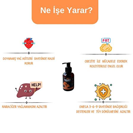 Organik Somon Yağı 100ml