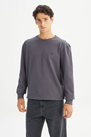 %100 Pamuk Regular Fit Normal Kesim Bisiklet Yaka Logo Detaylı Sweatshirt