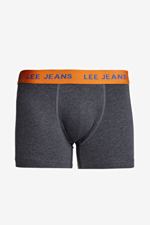 Regular Fit Normal Kesim Gri Boxer
