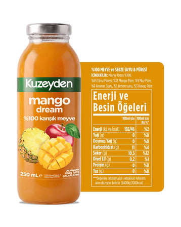 %100 Meyve Mango Dream (12x250ml)