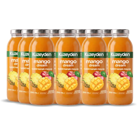 %100 Meyve Mango Dream (12x250ml)