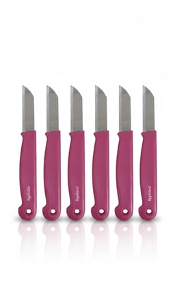 ByMyHand Pembe Meyve Bıçağı 6'lı Set