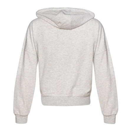 Hummel T-IC ICONA FERMUARLI HOODIE