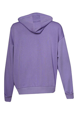 hummel Devon Zip Neck Hoodie Mor Kadın Hoodie