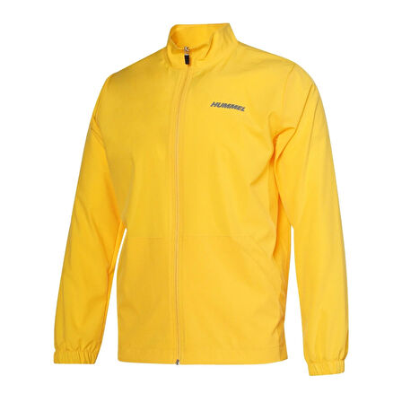 Hummel AMES FERMUARLI SWEATSHIRT