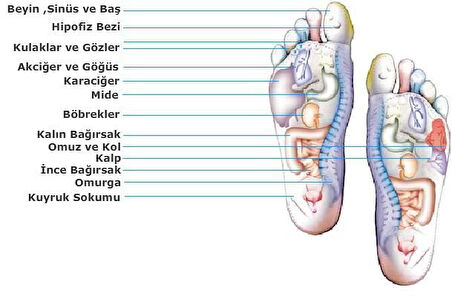 Medikalcim Bio Concept Tabanlık Baylar İçin 40-45 Numara Ayak