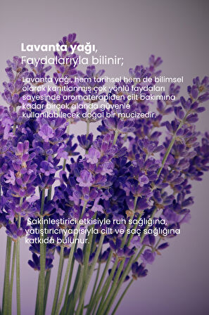 TTO Thermal Lavanta Yağı 10 ml