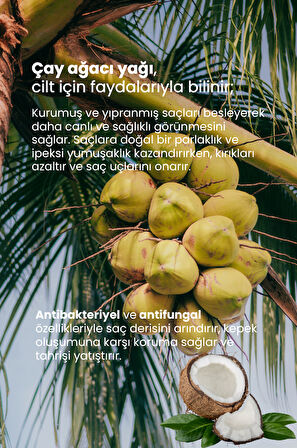 Hindistan Cevizi Yağı