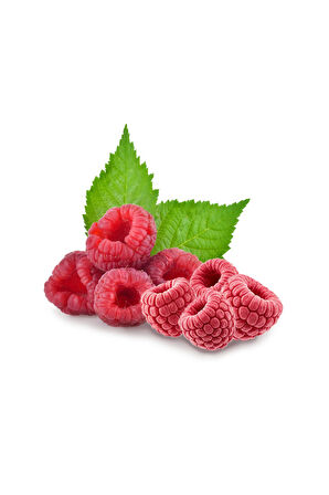 Dondurularak Kurutulmuş Frambuaz Taneleri - Sağlıklı Atıştırmalık, Freeze Dry Yöntemiyle Üretilmiş