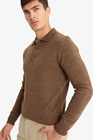 Standart Fit Polo Yaka Triko Kazak