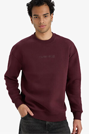 Boxy Fit Bisiklet Yaka İçi Yumuşak Tüylü Baskılı Sweatshirt