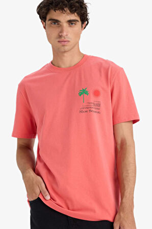 Regular Fit Bisiklet Yaka Baskılı Kısa Kollu Tişört