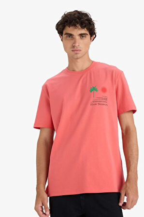 Regular Fit Bisiklet Yaka Baskılı Kısa Kollu Tişört