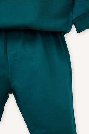 DeFacto 2'li Takım Sweatshirt Alt Erkek Bebek E8430A526SPGN265