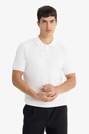 Standart Fit Polo Yaka Triko Kısa Kollu Tişört