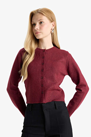 Coool Slim Fit Dar Kesim Bisiklet Yaka Hırka