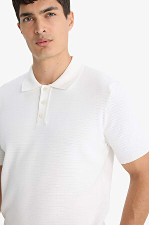 Standart Fit Polo Yaka Triko Kısa Kollu Tişört