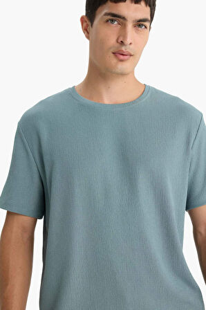 Regular Fit Bisiklet Yaka Kısa Kollu Tişört