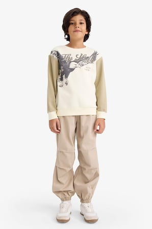 DeFacto Bisiklet Yaka Baskılı İçi Yumuşak Tüylü Sweatshirt Erkek Çocuk G5554A825CWKH96