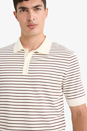 Standart Fit Polo Yaka Triko Çizgili Kısa Kollu Tişört
