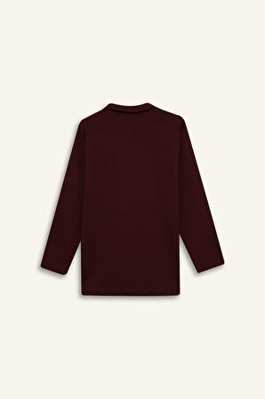 Regular Fit Polo Yaka Nakışlı Sweatshirt Kumaşı Sweatshirt Tunik