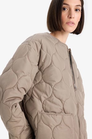 DeFacto Su Geçirmez Regular Fit Bisiklet Yaka Fermuarlı Kapitoneli Mont F4569AX25WNKH405