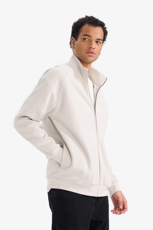 DeFacto Boxy Fit Dik Yaka Baskılı İçi Yumuşak Tüylü Cepli Fermuarlı Sweatshirt E1367AX26SPGR368