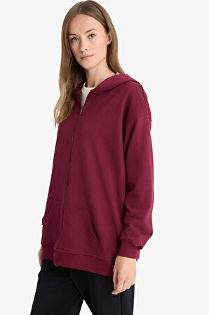 Regular Fit Kapüşonlu İçi Yumuşak Tüylü Kalın Fermuarlı Sweatshirt