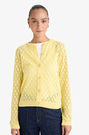 Regular Fit Bisiklet Yaka Ajurlu Düğmeli Triko Hırka