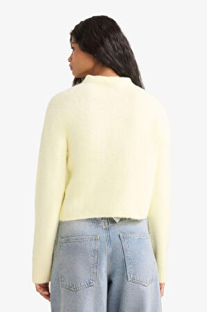 Regular Fit Yarım Balıkçı Yaka Kazak