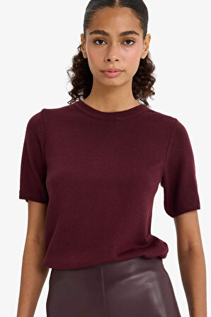 Regular Fit Bisiklet Yaka Kısa Kollu Triko Kazak