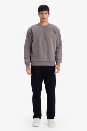 DeFacto Relax Fıt Bisiklet Yaka Polar Sweatshirt F3685AX25WNGR308