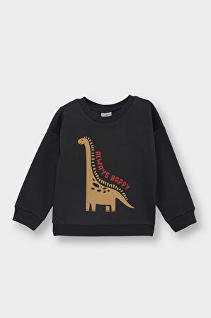 Erkek Bebek Bisiklet Yaka Dinozor Baskılı İçi Yumuşak Tüylü Sweatshirt