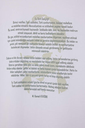 DeFacto %100 Pamuk Boxy Fit Bisiklet Yaka Baskılı Kısa Kollu Tişört F3568AX25SMWT34