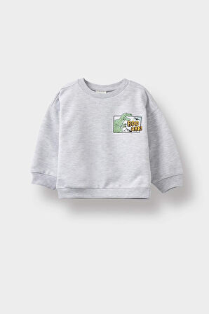 Erkek Bebek Bisiklet Yaka Dinozor Baskılı İçi Yumuşak Tüylü Sweatshirt