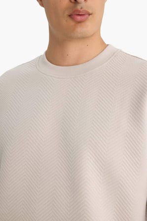 DeFacto Relax Fıt Bisiklet Yaka Sweatshirt E9536AX25AUBG766
