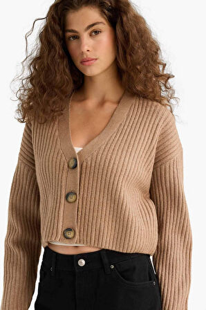 Regular Fit V Yaka Düğmeli Triko Hırka