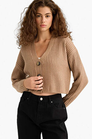 Regular Fit V Yaka Düğmeli Triko Hırka