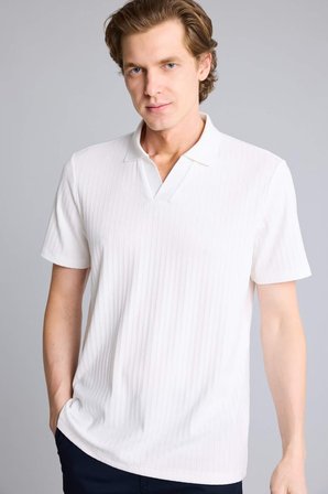 DeFacto Regular Fit Krinkıl Dikey Dokulu Hafif Kumaş Polo Yaka Kısa Kollu Tişört E1207AX26SMER85