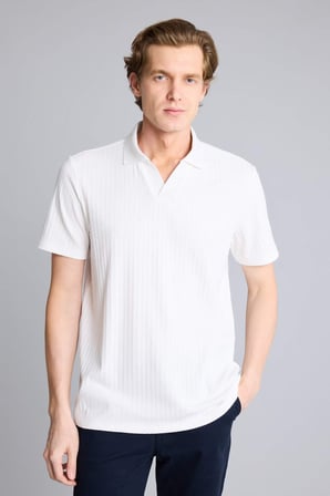 DeFacto Regular Fit Krinkıl Dikey Dokulu Hafif Kumaş Polo Yaka Kısa Kollu Tişört E1207AX26SMER85