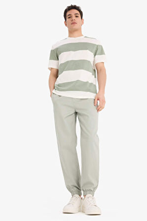 DeFacto %100 Pamuk Regular Fit Bisiklet Yaka Çizgili Kısa Kollu Tişört E5485AX25SMGN1107