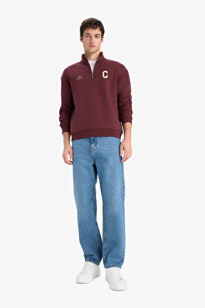 Boxy Fit Dik Yaka Fermuarlı Baskılı Sweatshirt