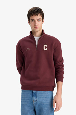 Boxy Fit Dik Yaka Fermuarlı Baskılı Sweatshirt