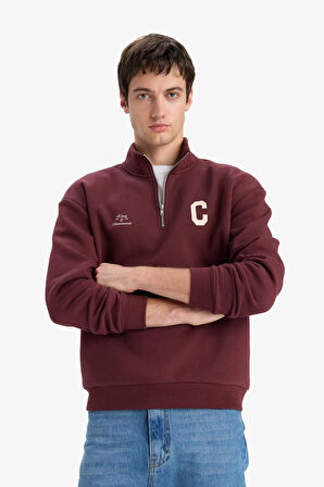 Boxy Fit Dik Yaka Fermuarlı Baskılı Sweatshirt